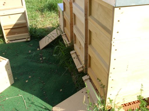 Bienenstöcke auf einer Wiese, mit einigen offenen Eingängen und Gras dazwischen.