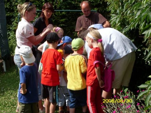 Gruppe von Kindern und Erwachsenen, die im Freien zusammenarbeiten und beobachten.