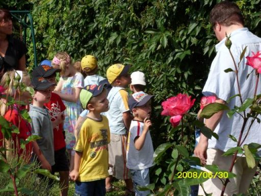 Eine Gruppe von Kindern steht neben einer blühenden Rose und hört einer Erwachsenen zu.