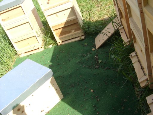 Bienenkästen aus Holz stehen auf grünem Untergrund, umgeben von Gras.